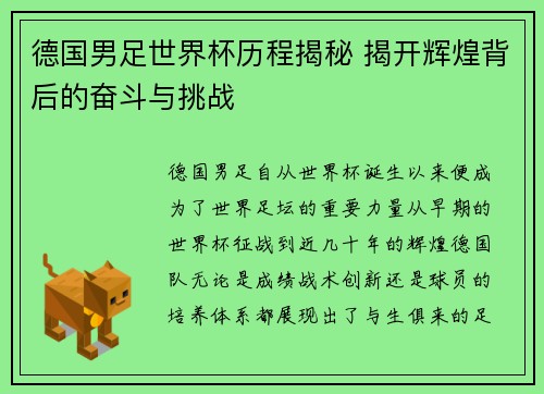 德国男足世界杯历程揭秘 揭开辉煌背后的奋斗与挑战